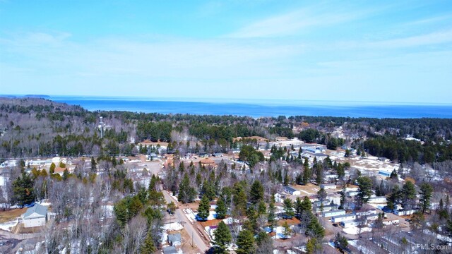 bird's eye view featuring a forest view and a water view