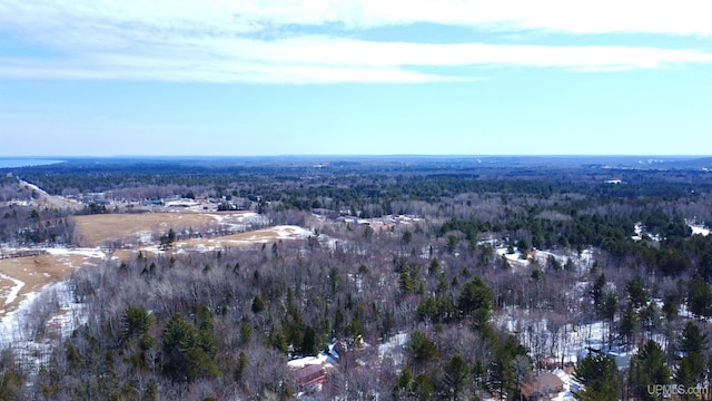 drone / aerial view featuring a wooded view