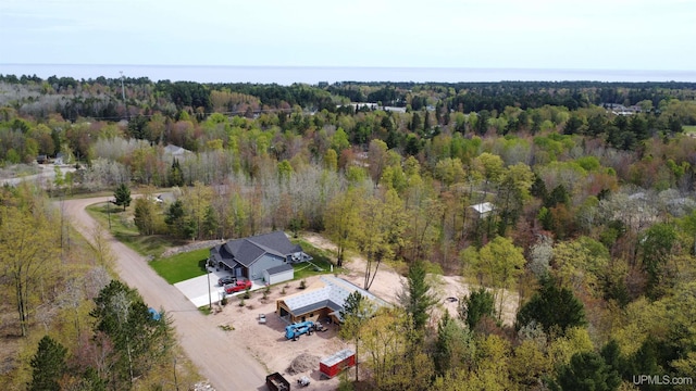 107 Royal Oak Ln, Marquette, MI 49855 - view of subject property featuring a forest