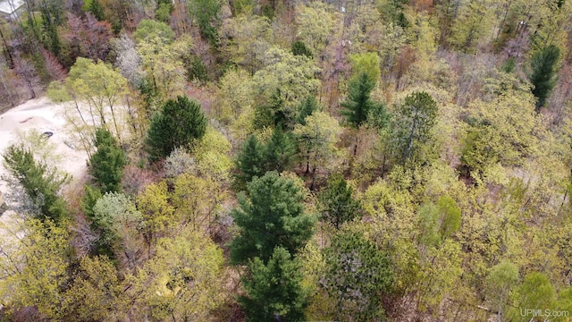 107 Royal Oak Ln, Marquette, MI 49855 - aerial view of a forest