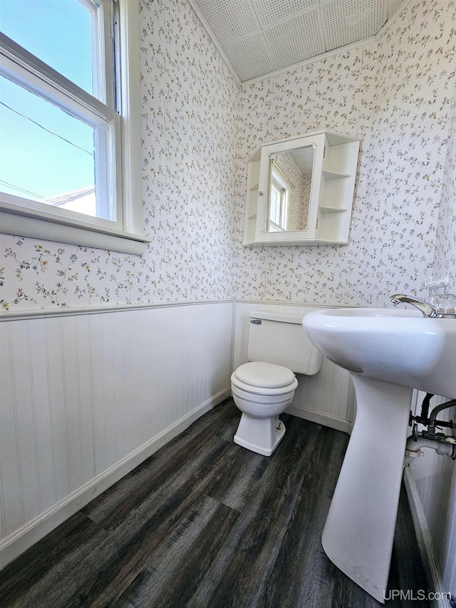 bathroom with wallpapered walls, wood finished floors, toilet, and wainscoting