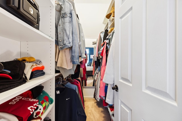 spacious closet featuring carpet