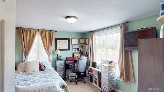 bedroom with carpet floors