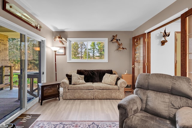 living room featuring light wood-style floors