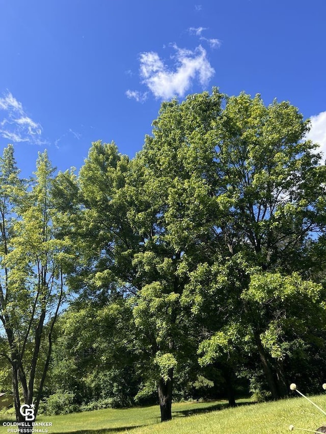 view of nature