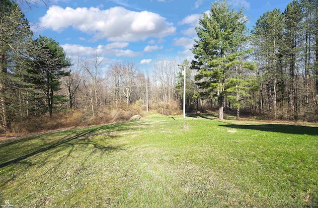 view of yard