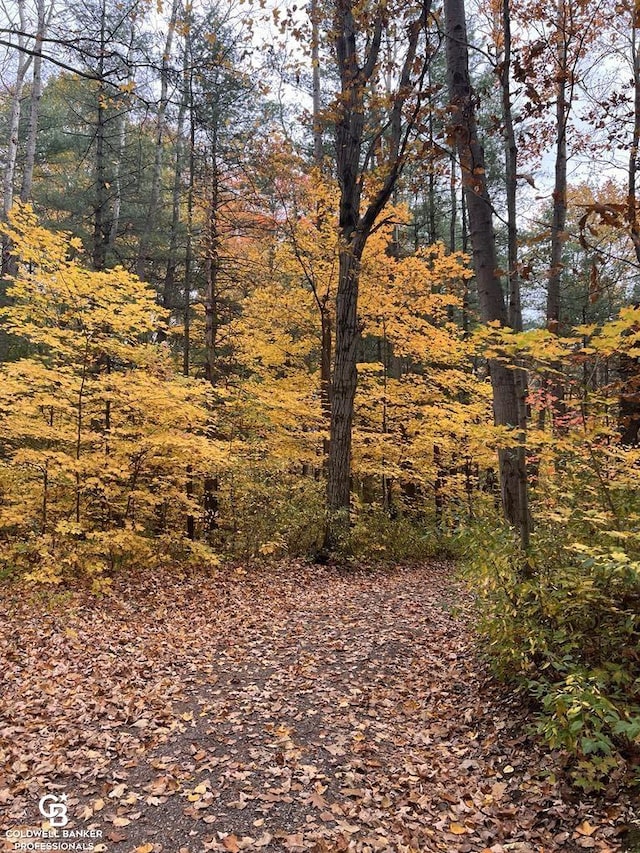 view of road featuring a wooded view