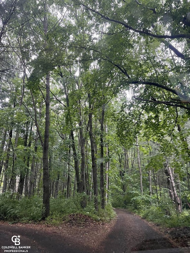 view of local wilderness featuring a wooded view