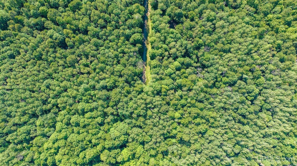 TBD Dream Lake Rd, Tipler-Wi, WI 54542