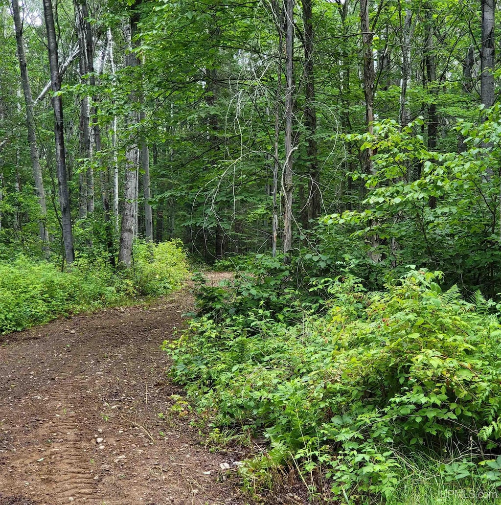 TBD Dream Lake Rd, Tipler-Wi, WI 54542