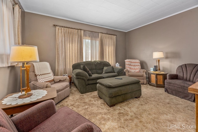 carpeted living area with ornamental molding
