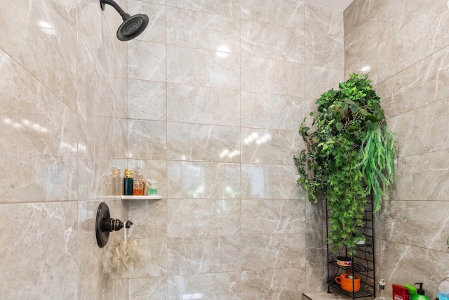 interior details with tiled shower