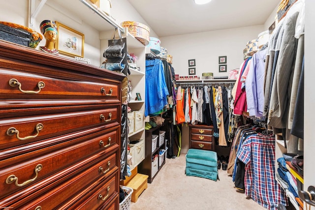 walk in closet featuring carpet flooring