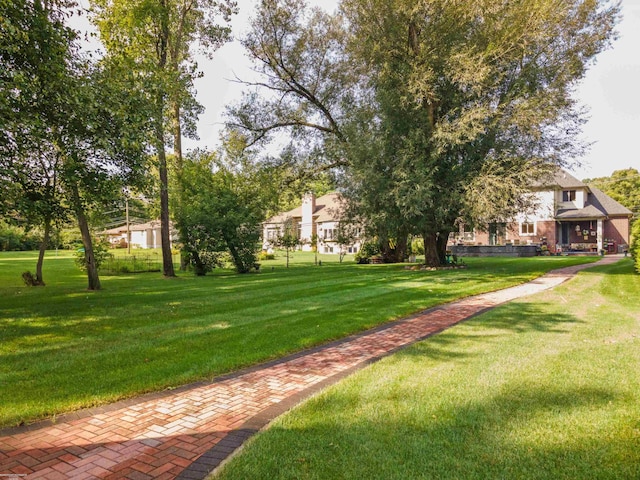 view of community with a yard