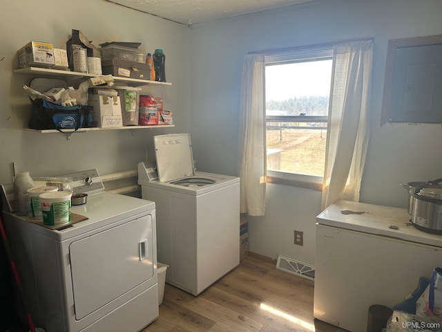 laundry area featuring laundry area, visible vents, light wood-type flooring, electric panel, and washing machine and clothes dryer
