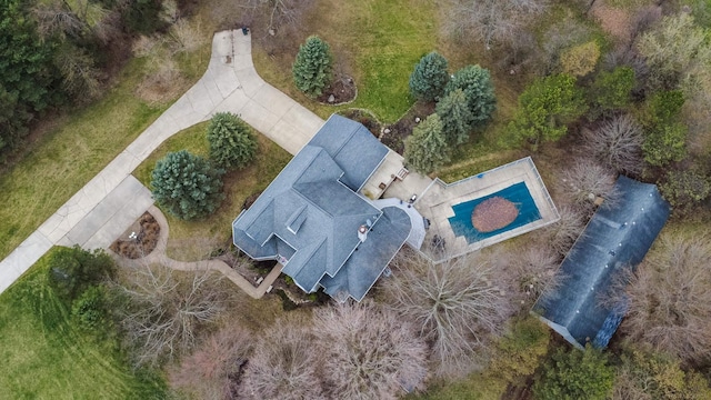 bird's eye view
