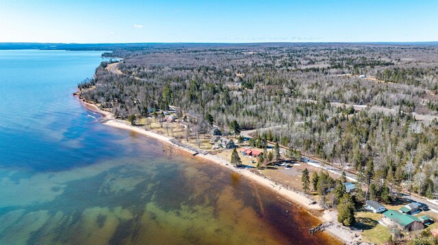 bird's eye view with a view of trees and a water view
