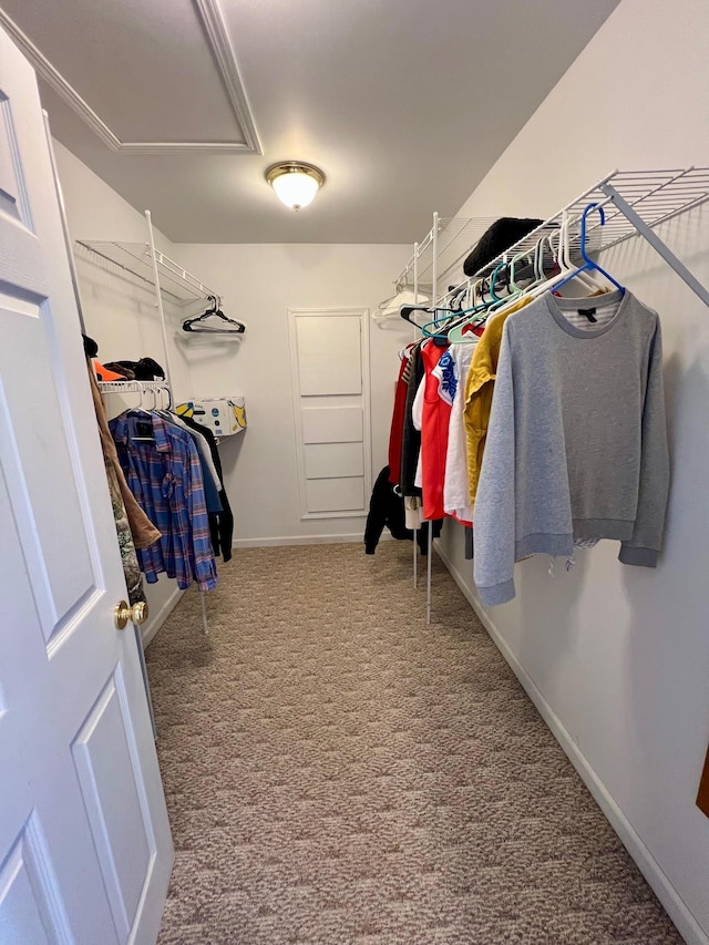 spacious closet with carpet flooring