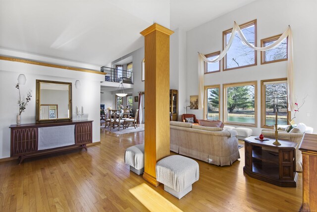 6728 Frith Rd, Smiths Creek, MI 48079 - living room with radiator, light wood finished floors, and a towering ceiling