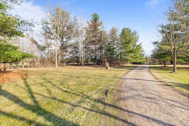 6728 Frith Rd, Smiths Creek, MI 48079 - view of street