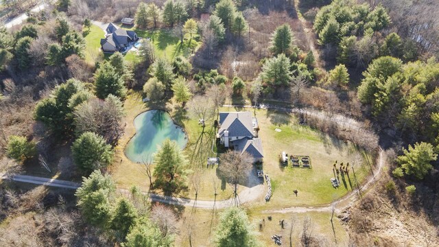 6728 Frith Rd, Smiths Creek, MI 48079 - drone / aerial view with a water view