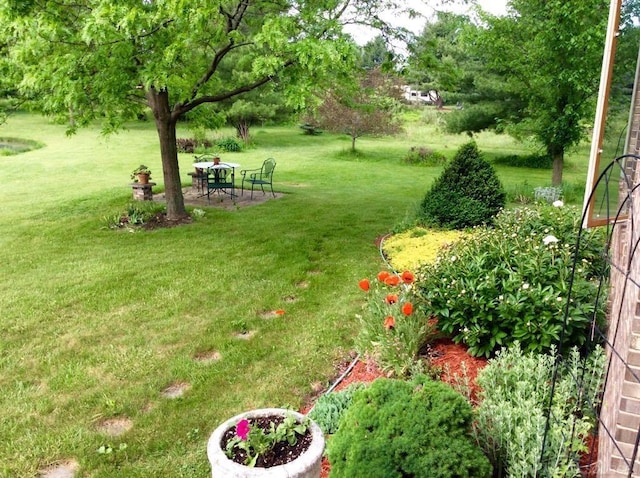 6728 Frith Rd, Smiths Creek, MI 48079 - view of yard featuring a patio area