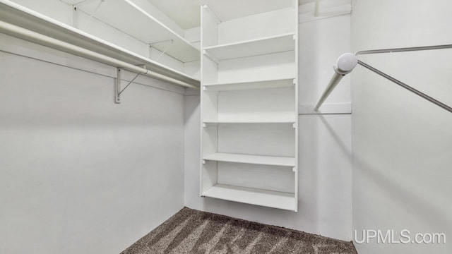 spacious closet with carpet
