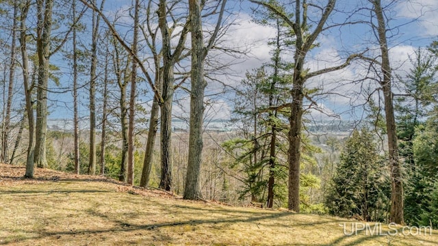 view of nature with a wooded view
