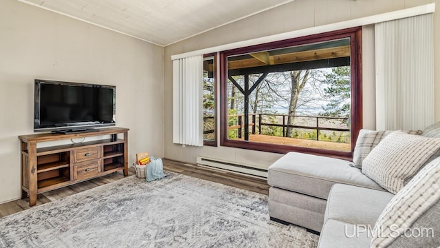 living room featuring a baseboard radiator, wood finished floors, and crown molding