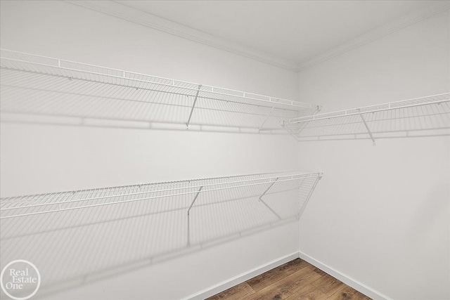 walk in closet with dark wood-style floors