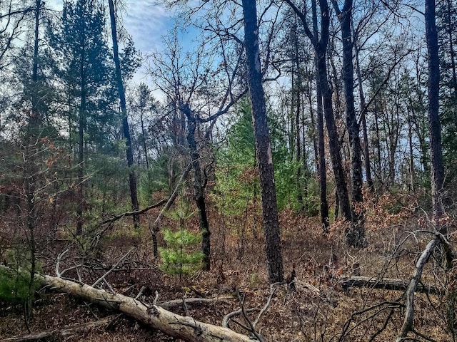 view of nature with a view of trees