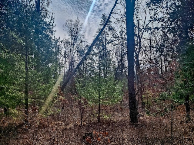 view of landscape featuring a forest view