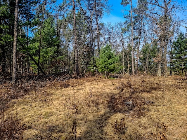 view of nature featuring a forest view