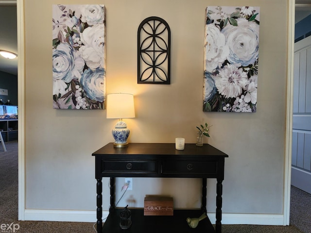room details with baseboards and carpet flooring