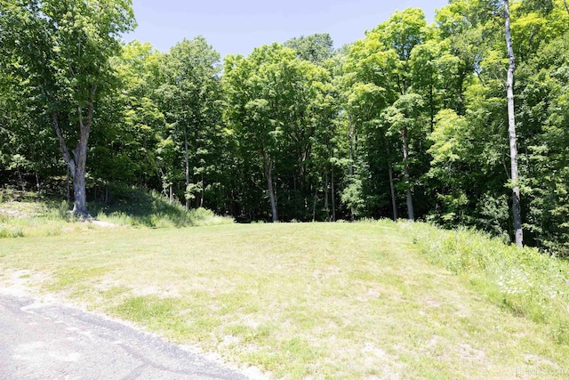 view of landscape featuring a forest view