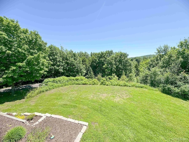 view of yard with a view of trees