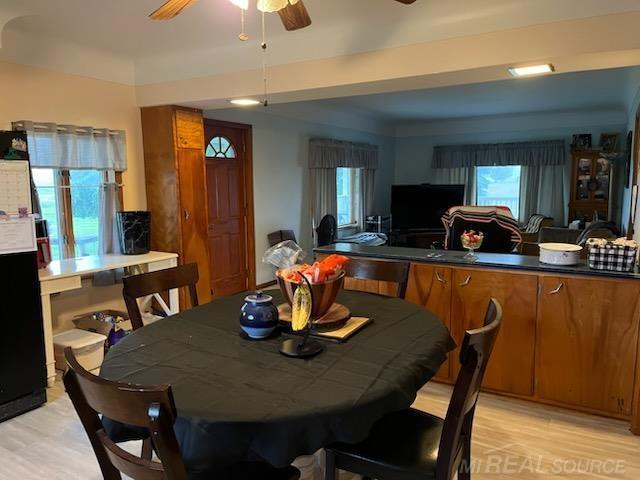2255 E Sanilac Rd, Carsonville, MI 48419 - dining area featuring plenty of natural light, light wood-style flooring, and ceiling fan