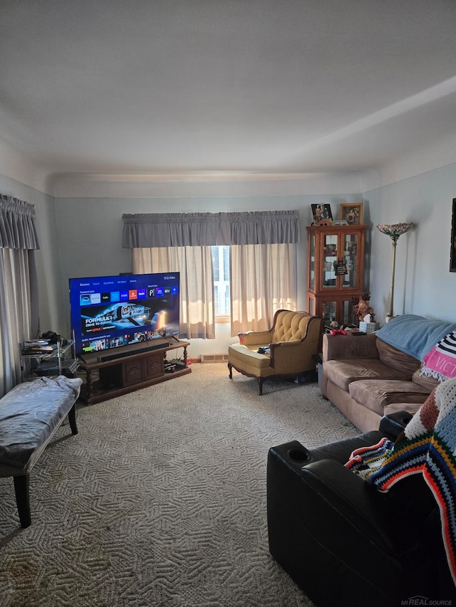 2255 E Sanilac Rd, Carsonville, MI 48419 - view of carpeted living room