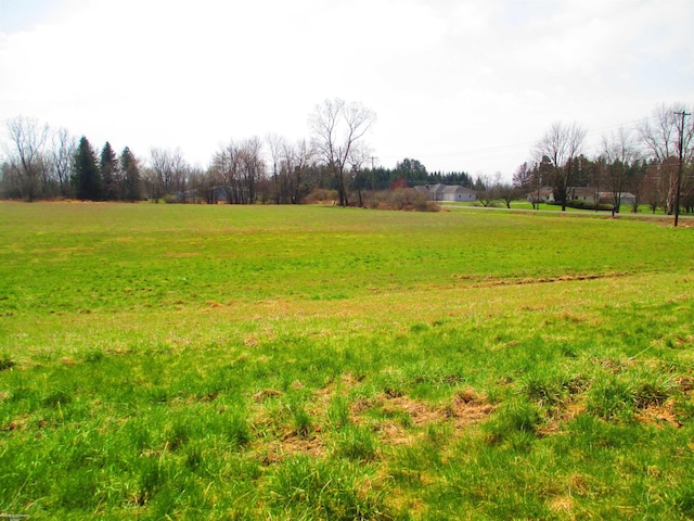 view of yard featuring a rural view