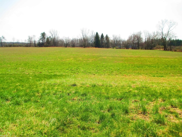 view of nature featuring a rural view