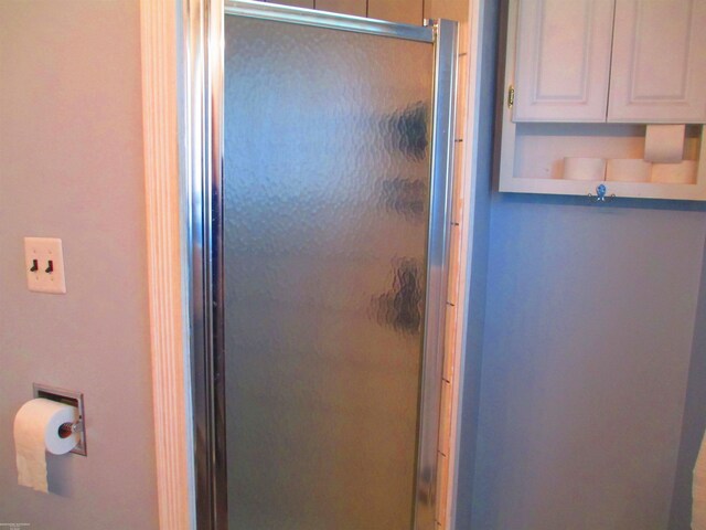 bathroom featuring a shower stall