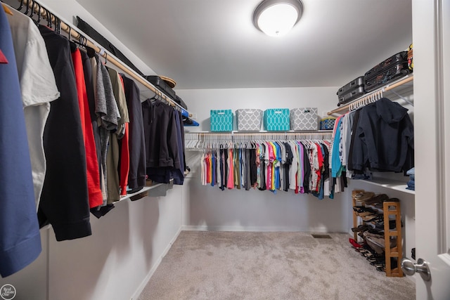 walk in closet featuring carpet flooring
