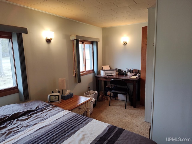 bedroom with carpet floors and ornamental molding