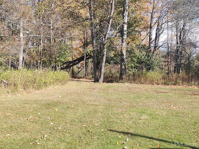 view of yard with a wooded view