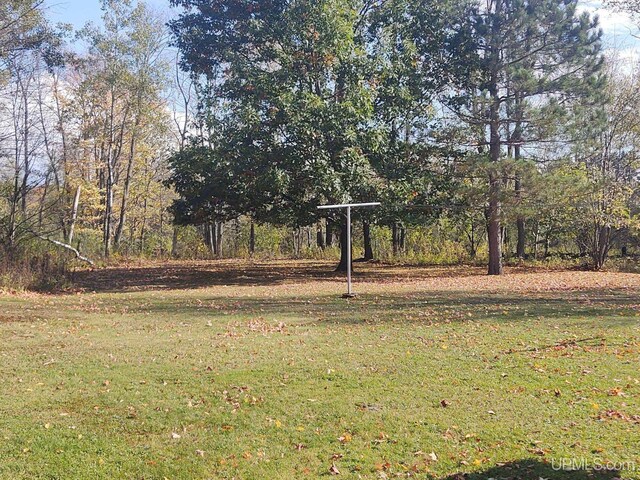 view of yard with a detached carport
