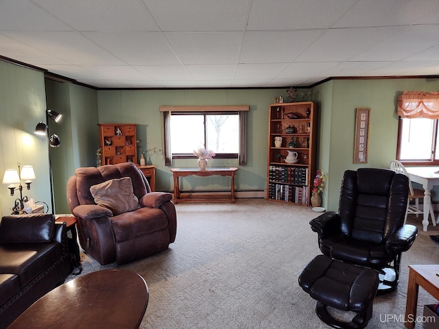living area featuring baseboard heating, carpet floors, and crown molding
