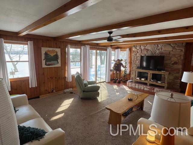 carpeted living area featuring a healthy amount of sunlight, wood walls, beam ceiling, and ceiling fan