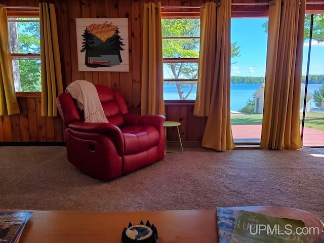 living area with carpet, a healthy amount of sunlight, wood walls, and a water view