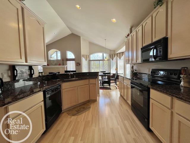 kitchen with plenty of natural light, light wood-style flooring, a sink, and black appliances