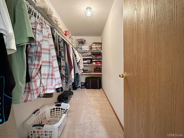 spacious closet with carpet flooring
